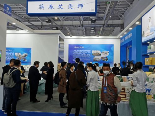 多彩劳务品牌亮相第三届创业就业展示交流活动